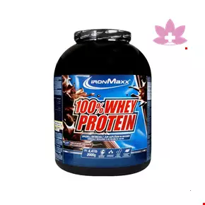 Iron Max 100 % Protein Whey Powder 2000g